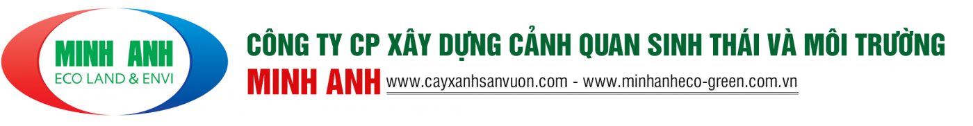 Môi Trường Minh Anh